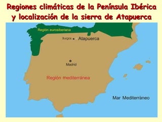 Regiones climáticas de la Península Ibérica y localización de la sierra de Atapuerca 
