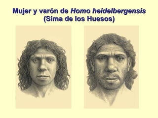 Mujer y varón de  Homo heidelbergensis  (Sima de los Huesos) 