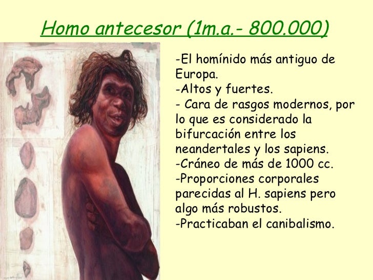 Evolución humana ppt
