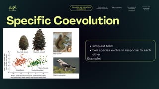 Specific Coevolution EVOLUTIONARY BIOLOGY REPORTING PRESENTATION | PDF