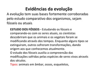 ESTUDO DOS FÓSSEIS -  Estudando os fósseis e comparando-os com os seres atuais, os cientistas descobriram que os animais e os vegetais foram se modificando através dos tempos. Enquanto alguns tipos se extinguiram, outros sofreram transformações, dando origem aos que conhecemos atualmente. O estudo dos fósseis auxilia a compreensão das modificações sofridas pelas espécies de seres vivos através dos séculos. Tipos:  animais em âmbar, ossos, esqueletos,  Evidências da evolução A evolução tem suas bases fortemente corroboradas pelo estudo comparativo dos organismos, sejam fósseis ou atuais .  