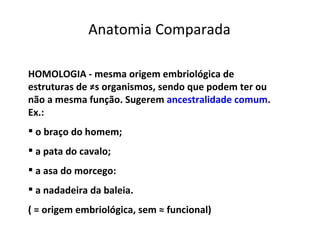 Anatomia Comparada HOMOLOGIA - mesma origem embriológica de estruturas de  ≠s organismos, sendo que podem ter ou não a mesma função. Sugerem  ancestralidade comum .  Ex.: o braço do homem;  a pata do cavalo; a asa do morcego: a nadadeira da baleia. ( = origem embriológica, sem ≈ funcional)  