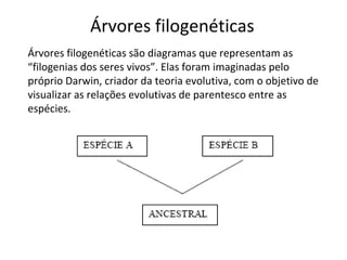 Árvores filogenéticas Árvores filogenéticas são diagramas que representam as “filogenias dos seres vivos”. Elas foram imaginadas pelo próprio Darwin, criador da teoria evolutiva, com o objetivo de visualizar as relações evolutivas de parentesco entre as espécies.  