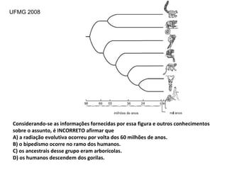 Considerando-se as informações fornecidas por essa figura e outros conhecimentos sobre o assunto, é INCORRETO afirmar que A) a radiação evolutiva ocorreu por volta dos 60 milhões de anos. B) o bipedismo ocorre no ramo dos humanos. C) os ancestrais desse grupo eram arborícolas. D) os humanos descendem dos gorilas. UFMG 2008 