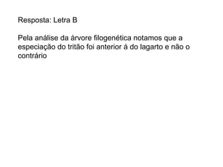 Resposta: Letra B Pela análise da árvore filogenética notamos que a especiação do tritão foi anterior á do lagarto e não o contrário  