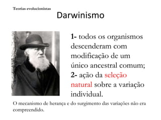 Darwinismo Teorias evolucionistas 1-  todos os organismos descenderam com modificação de um único ancestral comum;  2-  ação da  seleção natural  sobre a variação individual.  O mecanismo de herança e do surgimento das variações não era compreendido.  