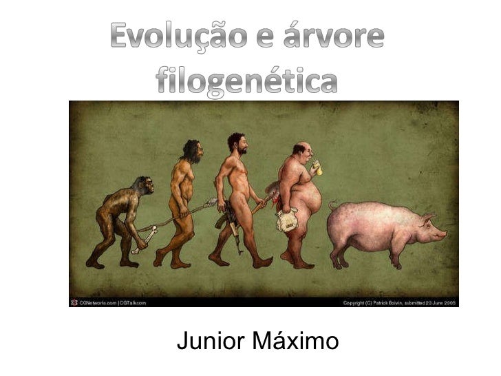 Junior Máximo 