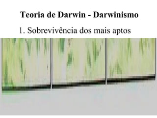 1. Sobrevivência dos mais aptos Teoria de Darwin - Darwinismo 