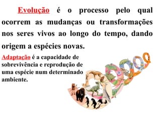 Evolução  é o processo pelo qual ocorrem as mudanças ou transformações nos seres vivos ao longo do tempo, dando origem a espécies novas.   Adaptação  é a capacidade de sobrevivência e reprodução de uma espécie num determinado ambiente. 