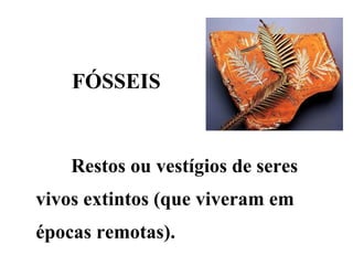FÓSSEIS Restos ou vestígios de seres vivos extintos (que viveram em épocas remotas). 