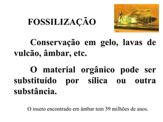 FOSSILIZAÇÃO Conservação em gelo, lavas de vulcão, âmbar, etc.  O material orgânico pode ser substituído por sílica ou outra substância. O inseto encontrado em âmbar tem 39 milhões de anos. 