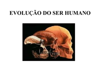EVOLUÇÃO DO SER HUMANO 