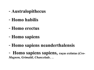 Australopithecus Homo habilis Homo erectus Homo sapiens  Homo sapiens neanderthalensis Homo sapiens sapiens,  raças extintas ( Cro-Magnon, Grimaldi, Chancelade , ... 