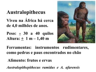 Australopithecus Viveu na África há cerca de 4,0 milhões de anos. Peso:  +   30 a 40 quilos Altura:  +   1 m – 1,40 m  Ferramentas: instrumentos rudimentares, como pedras e paus encontrados no chão Alimento: frutos e ervas Australopithepithecus  ramidus  e  A.  afarensis 