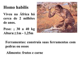 Homo habilis Viveu na África há cerca de 2 milhões de anos. Peso:  +   30 a 40 kg Altura: + 1m - 1,25m Ferramentas: construía suas ferramentas com pedras ou ossos Alimento: frutos e carne 