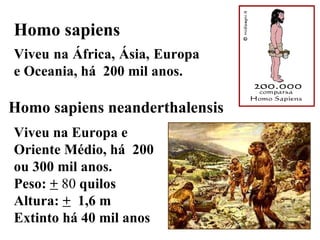 Homo sapiens  Viveu na África, Ásia, Europa e Oceania, há  200 mil anos. Homo sapiens neanderthalensis Viveu na Europa e Oriente Médio, há  200 ou 300 mil anos. Peso:  +  80  quilos  Altura:  +   1,6 m  Extinto há 40 mil anos 