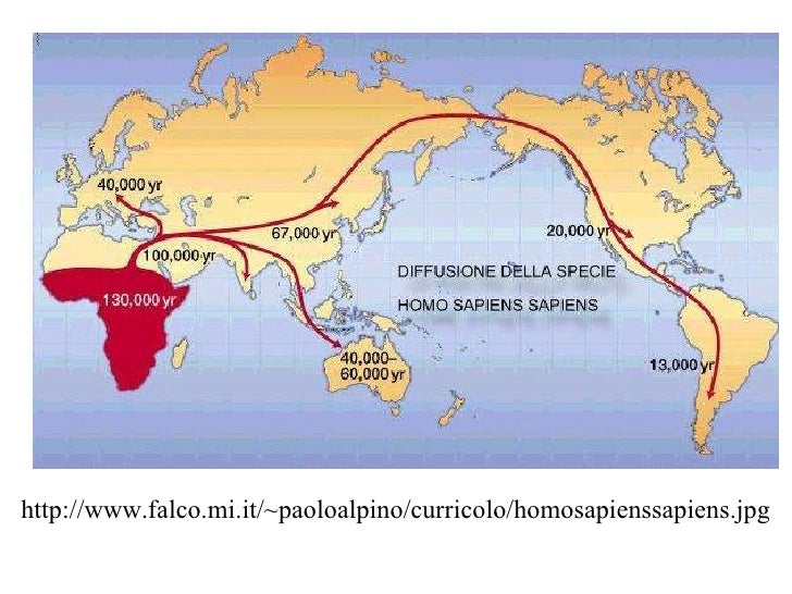 Resultado de imagem para homo sapiens no mundo