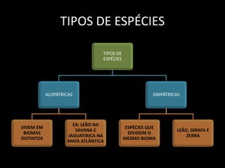 TIPOS DE ESPÉCIES

                                  TIPOS DE
                                  ESPÉCIES




            ALOPÁTRICAS                                SIMPÁTRICAS




                       EX: LEÃO NA
VIVEM EM                                     ESPÉCIES QUE
                        SAVANA E                                LEÃO, GIRAFA E
 BIOMAS                                       DIVIDEM O
                     JAGUATIRICA NA                                 ZEBRA
DISTINTOS                                    MESMO BIOMA
                     MATA ATLÂNTICA
 