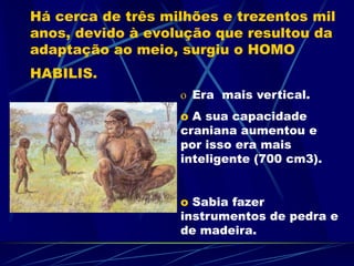 Há cerca de três milhões e trezentos mil
anos, devido à evolução que resultou da
adaptação ao meio, surgiu o HOMO
HABILIS.
o Era mais vertical.
o A sua capacidade
craniana aumentou e
por isso era mais
inteligente (700 cm3).
o Sabia fazer
instrumentos de pedra e
de madeira.
 