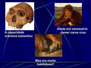 Ainda era necessário
comer carne cruaA capacidade
craniana aumentou
Mas era muito
habilidoso!!
 