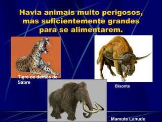 Havia animais muito perigosos,
mas suficientemente grandes
para se alimentarem.
Tigre de dentes de
Sabre
Mamute Lanudo
Bisonte
 