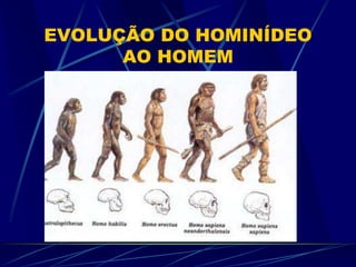 EVOLUÇÃO DO HOMINÍDEO
AO HOMEM
 