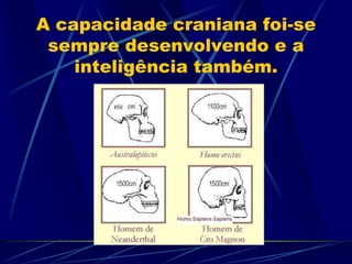 A capacidade craniana foi-se
sempre desenvolvendo e a
inteligência também.
 
