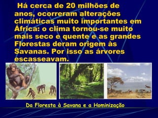 Há cerca de 20 milhões de
anos, ocorreram alterações
climáticas muito importantes em
África: o clima tornou-se muito
mais seco e quente e as grandes
Florestas deram origem às
Savanas. Por isso as árvores
escasseavam.
Da Floresta à Savana e a Hominização
 