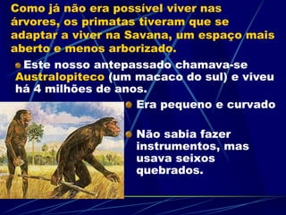 Como já não era possível viver nas
árvores, os primatas tiveram que se
adaptar a viver na Savana, um espaço mais
aberto e menos arborizado.
Era pequeno e curvado
Não sabia fazer
instrumentos, mas
usava seixos
quebrados.
Este nosso antepassado chamava-se
Australopiteco (um macaco do sul) e viveu
há 4 milhões de anos.
 