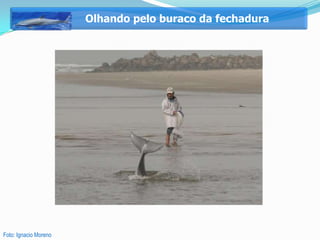 Olhando pelo buraco da fechadura




Foto: Ignacio Moreno
 