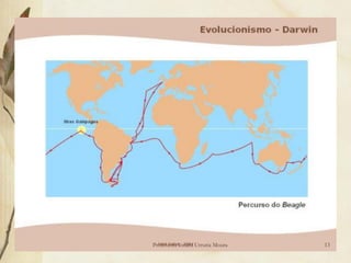 Professora Ionara Urrutia Moura   13
 