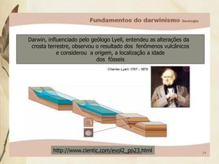 Darwin, influenciado pelo geólogo Lyell, entendeu as alterações da
 crosta terrestre, observou o resultado dos fenômenos vulcânicos
            e considerou a origem, a localização a idade
                            dos fósseis




          http://www.cientic.com/evol2_pp23.html
                           Professora Ionara Urrutia Moura           14
 