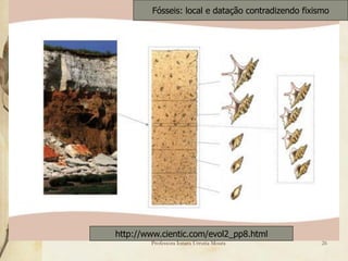 Fósseis: local e datação contradizendo fixismo




http://www.cientic.com/evol2_pp8.html
        Professora Ionara Urrutia Moura             26
 