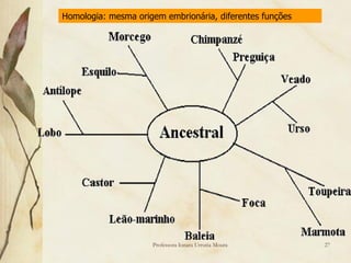 Homologia: mesma origem embrionária, diferentes funções




                     Professora Ionara Urrutia Moura      27
 