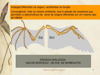Analogia:Diferentes na origem, semlhantes na função
Convergência :Vida no mesmo ambiente, leva à seleção de caracteres que
permitam a sobrevivência de seres de origens diferentes em um mesmo tipo
de hábitat




                     ÓRGÃOS ANÁLOGOS:
            ASA DE MORCEGO , DE AVE, DE BORBOLETA!

                            Professora Ionara Urrutia Moura         28
 