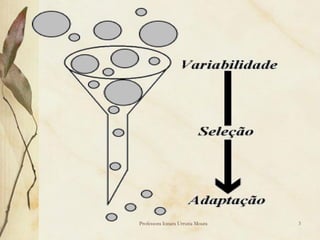 Professora Ionara Urrutia Moura   3
 