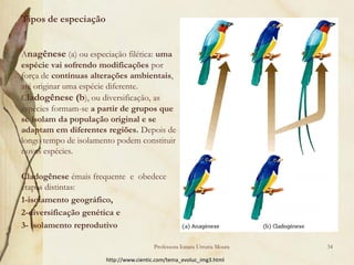 Tipos de especiação


Anagênese (a) ou especiação filética: uma
espécie vai sofrendo modificações por
força de contínuas alterações ambientais,
até originar uma espécie diferente.
Cladogênese (b), ou diversificação, as
espécies formam-se a partir de grupos que
se isolam da população original e se
adaptam em diferentes regiões. Depois de
longo tempo de isolamento podem constituir
novas espécies.

Cladogênese émais frequente e obedece
etapas distintas:
1-isolamento geográfico,
2-diversificação genética e
3- isolamento reprodutivo

                                        Professora Ionara Urrutia Moura   34

                       http://www.cientic.com/tema_evoluc_img3.html
 
