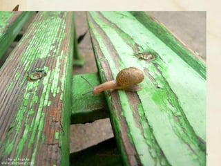 Professora Ionara Urrutia Moura   39
 