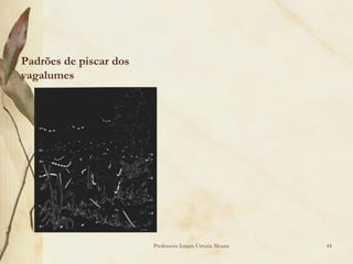 Padrões de piscar dos
vagalumes




                        Professora Ionara Urrutia Moura   44
 