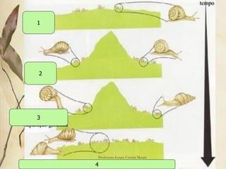 1




2




3




    Professora Ionara Urrutia Moura   45

    4
 