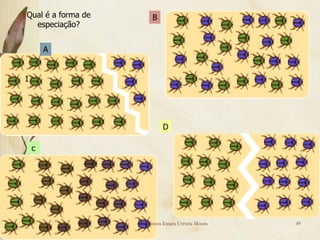Qual é a forma de         B
  especiação?


        A


1




                              D

    c




                    Professora Ionara Urrutia Moura   49
 