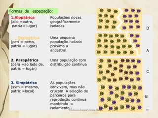 Formas de especiação:
1.Alopátrica         Populações novas
(allo =outro,        geográficamente
 patria= lugar)      isoladas
                                                                 D

    Peripatrica      Uma pequena
(peri = perto,       população isolada
patria = lugar)      próxima a
                     ancestral                                   A

2. Parapátrica       Uma população com
(para =ao lado de,   distribuição contínua
patric = lugar)
                                                                 C

3. Simpátrica        As populaçães
(sym = mesmo,        convivem, mas não
patric =local)       cruzam. A seleção de
                     parceiros para                              B
                     reprodução continua
                     mantendo o
                     isolamento .
                               Professora Ionara Urrutia Moura   50
 