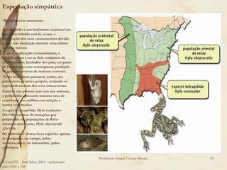 Especiação simpátrica

-Rela-cinzenta-americana

A poliploidia é um fenômeno ocasional em
que, num hibrído estéril, ocorre a
duplicação dos seus cromossomos devido
a uma não disjunção durante uma mitose
ou uma meiose.
-Com a duplicação cromossômica, o
hibrído passa a ter os dois conjuntos de
cromossomos, herdados dos pais, em pares
de homólogos com consequente produção
de gametas através de meioses normais.
 Estes indivíduos possuem, então, um
património genético próprio, isolando-os
reprodutivamente dos seus antecessores.
Comum nas plantas mas rara nos animais,
a poliploidia apresenta maiores taxa de
ocorrência nos anfíbios em relação a
outros vertebrados.
A espécie tetraplóide Hyla versicolor
(2n=48) resultou de mutações por
poliploidia em populações de Rela-
cinzenta-americana, Hyla shrysocelis
(2n=24).
Os indíviduos destas duas espécies apenas
se distiguem, no campo, pelas
vocalizações e, no laboratório, pelos
cariótipos.

                                            Professora Ionara Urrutia Moura   53
© CienTIC - José Salsa, 2003 - optimizado
para 1024 x 768
 