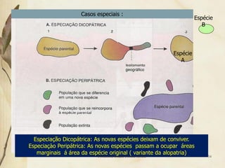 Casos especiais :
                                                                      Espécie
                                                                         B




                                                            Espécie
                                                               A




  Especiação Dicopátrica: As novas espécies deixam de conviver.
Especiaçào Peripátrica: As novas espécies passam a ocupar áreas
   marginais á área da espécie original ( variante da alopatria)
                          Professora Ionara Urrutia Moura                  54
 