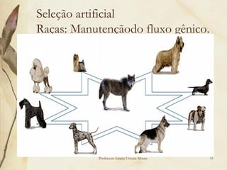 Seleção artificial
Raças: Manutençãodo fluxo gênico.




           Professora Ionara Urrutia Moura   55
 