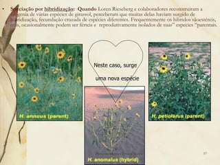•   Speciação por hibridização: Quando Loren Rieseberg e colaboradores reconstruiram a
    filogenia de várias espécies de girassol, perceberam que muitas delas haviam surgido de
    hibridização, fecundação cruzada de espécies diferentes. Frequentemente os hibridos sãoestéreis,
    mas, ocasionalmente podem ser férteis e reprodutivamente isolados de suas” especies “parentais.




                                          Neste caso, surge

                                           uma nova espécie




                                           Professora Ionara Urrutia Moura                   57
 