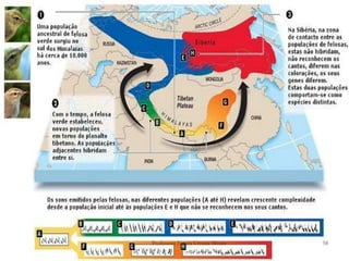 Professora Ionara Urrutia Moura   58
 