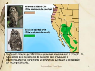 Corujas de espécies genéticamente próximas, mostram que a redução do
fluxo gênico pelo surgimento de barreiras que provoquem o
isolamento,provoca surgimento de diferenças que levam á especiação
por incompatibilidade.
                               Professora Ionara Urrutia Moura         60
 