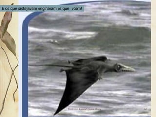 E os que rastejavam originaram os que voam!




                                   Professora Ionara Urrutia Moura   62
 