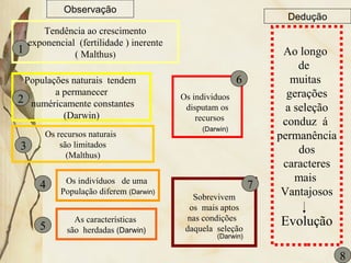 Observação 
Tendência ao crescimento 
exponencial (fertilidade ) inerente 
( Malthus) 
Populações naturais tendem 
a permanecer 
numéricamente constantes 
(Darwin) 
Os recursos naturais 
são limitados 
(Malthus) 
Os individuos 
disputam os 
recursos 
Os indivíduos de uma 
População diferem (Darwin) 
As características 
são herdadas (Darwin) 
Sobrevivem 
os mais aptos 
nas condições 
daquela seleção 
Ao longo 
de 
muitas 
gerações 
a seleção 
conduz á 
permanência 
dos 
caracteres 
mais 
Vantajosos 
Evolução 
1 
7 
6 
2 
3 
4 
5 
8 
(Darwin) 
(Darwin) 
Dedução 
 